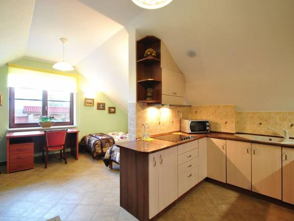 Pokój z aneksem kuchennym