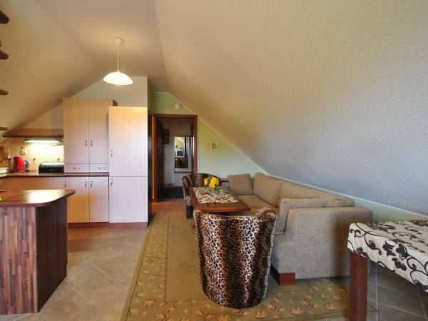 Pokój z aneksem kuchennym