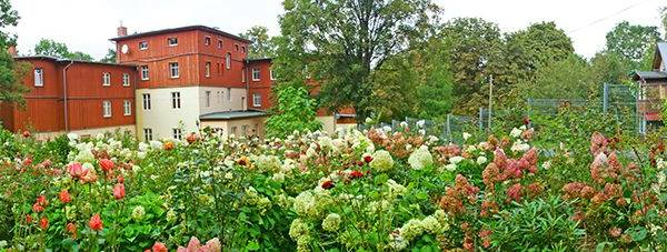Dom Wypoczynkowy Admirał
