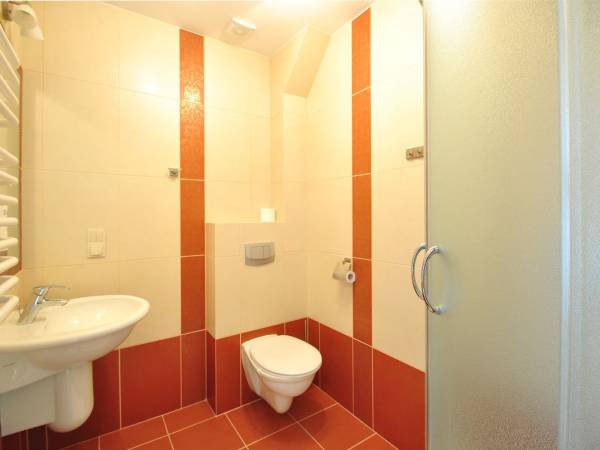 Willa oraz domki Mycyny