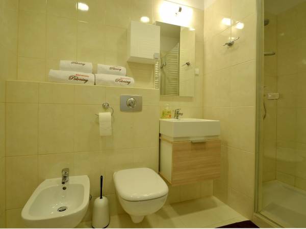 Apartamenty Połoniny