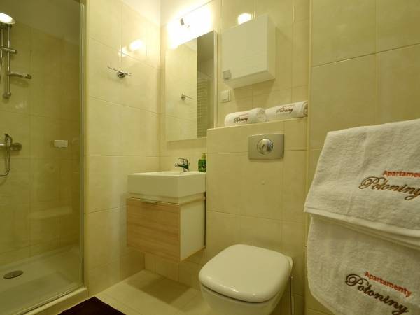 Apartamenty Połoniny