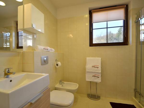 Apartamenty Połoniny