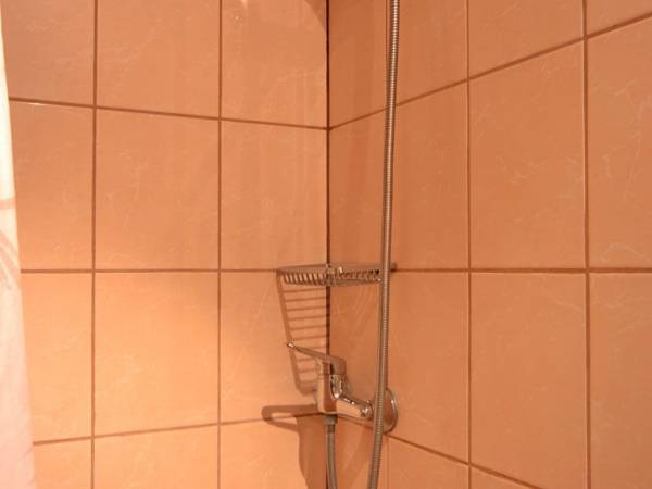 Agroturystyka na Niedźwiedziej