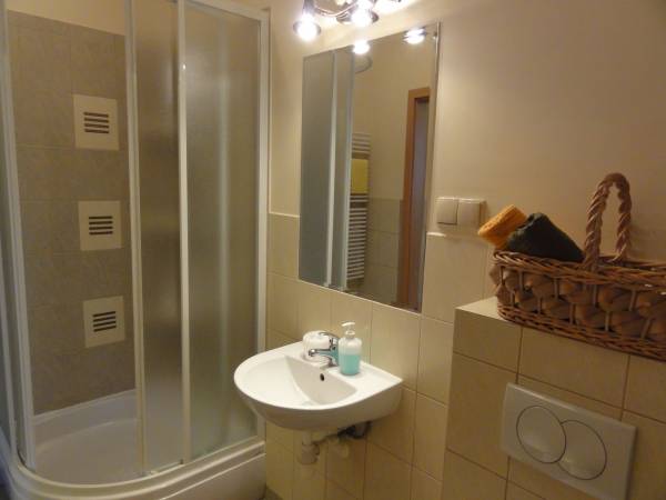 Pokoje gościnne Domex