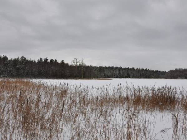 Agroturystyka - T.M.Gołaszewscy