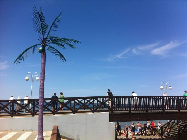 Dopiero poczatek sezonu w 2014r (majówka), ale palma przy głównym wejściu już stoi!