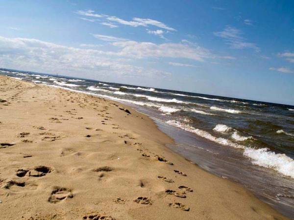 Restauracja Sosnowa Ośrodka Bursztyna