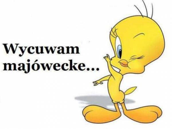 Domki letniskowe Stary Dąb