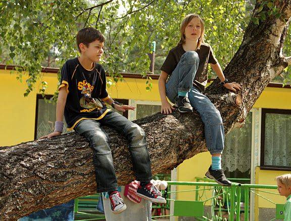 Bory Tucholskie Ośrodek Wczasowy 