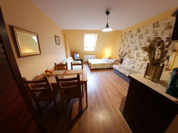 Apartament jednopokojowy z aneksem kuchennym i łazienką