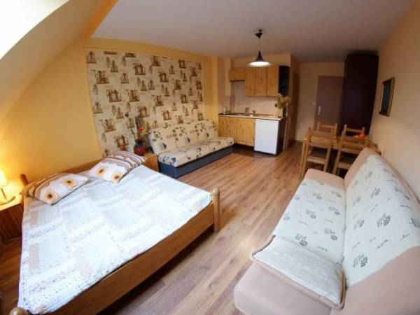 Apartament jednopokojowy z aneksem kuchennym i łazienką