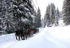 Agroturystyka Pod Brzózką