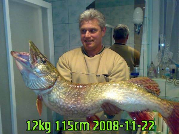 Domek z jacuzzi "Dobra miejscówka"