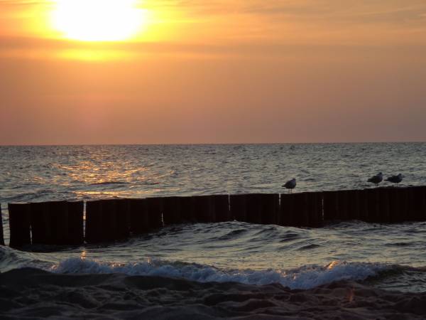 bardzo blisko morza i plaży