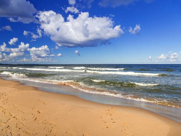 Pokoje Gościnne Ambelia