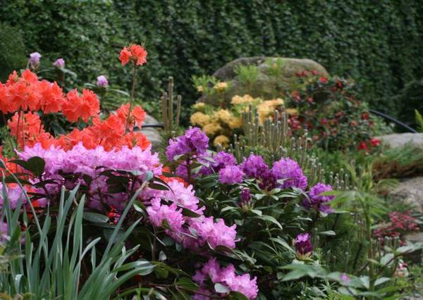 Gospodarstwo Agroturystyczne Chata Mikołaja