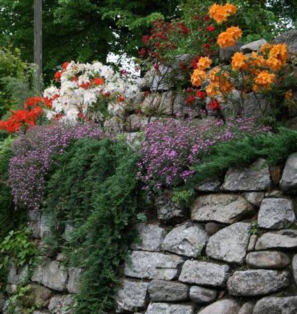 Gospodarstwo Agroturystyczne Chata Mikołaja