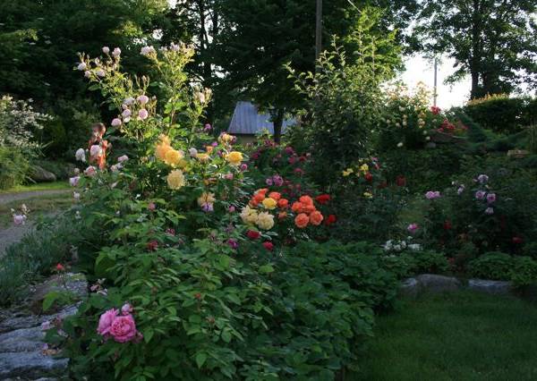 Gospodarstwo Agroturystyczne Chata Mikołaja