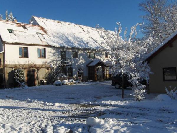 widok domu ze strony ogrodu