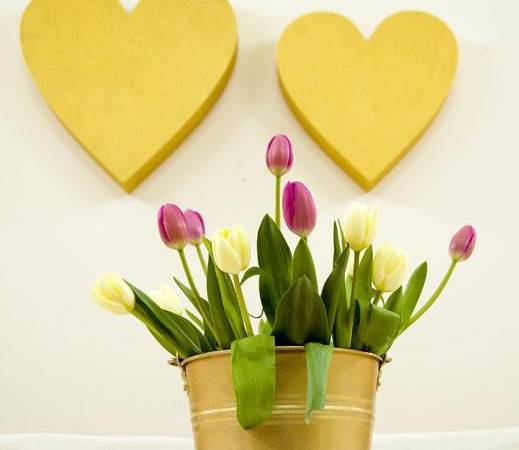 Saxonia - Kwatery Pracownicze