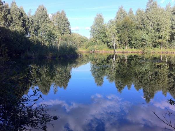 Ośrodek Wypoczynkowy Ranczo