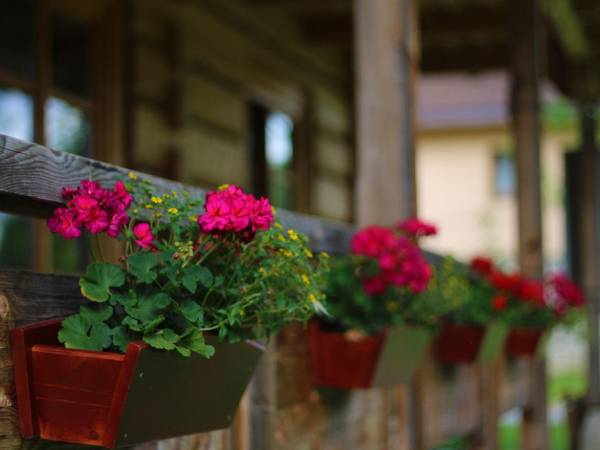 Zakątek pod Smrekami