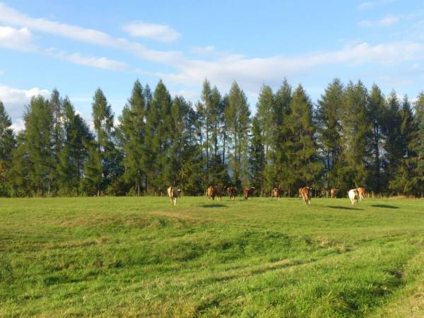 okolica Domu Wypoczynkowego u Ciwersa