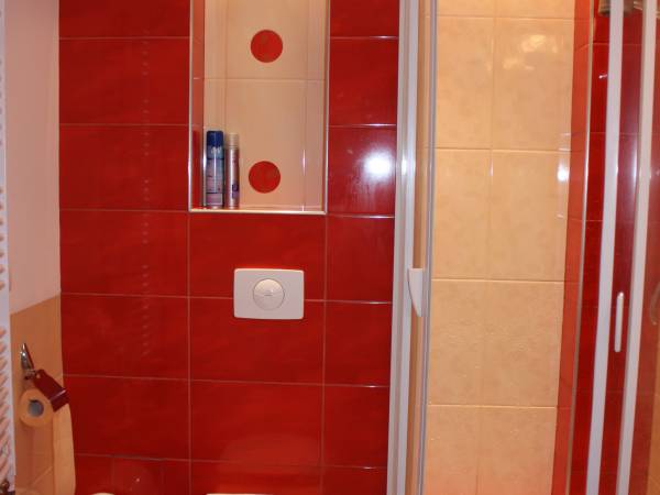 Willa Turkusowa Apartament 17