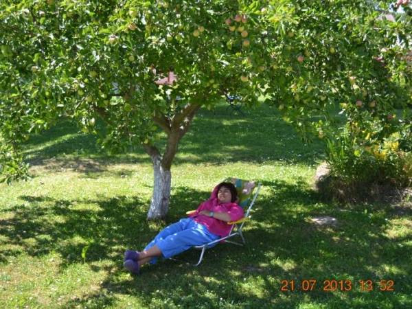 Agrowczasy nad morzem