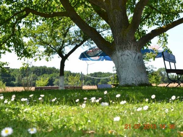 Agrowczasy nad morzem