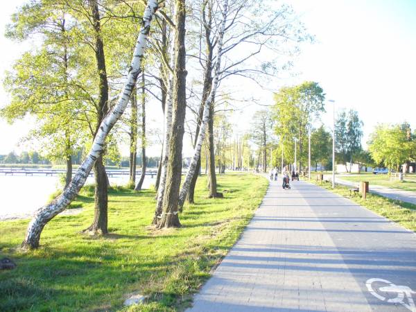 Domki letniskowe Firlejowski Zakątek 