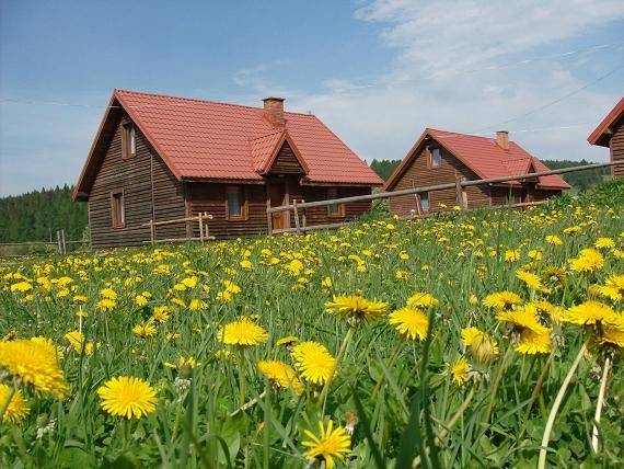 Całoroczne domki w górach "ALEKSANDER"
