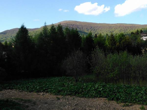 Widok z pokojów na Smerek