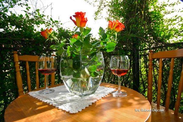 Dom Gościnny Albertus