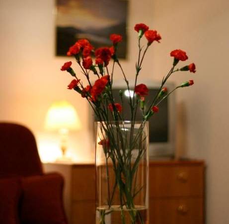 Dom Gościnny Albertus