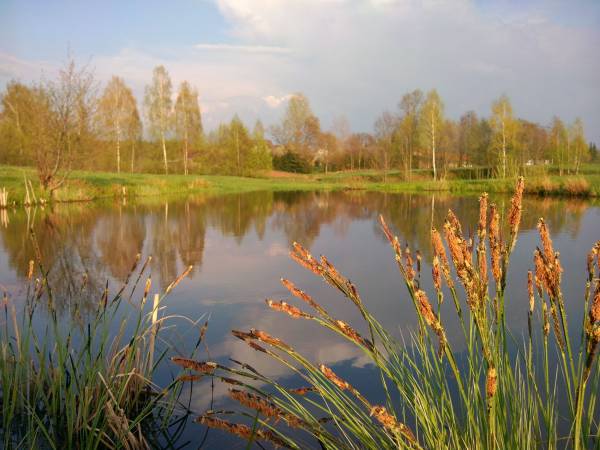 Dolina Górnej Rospudy