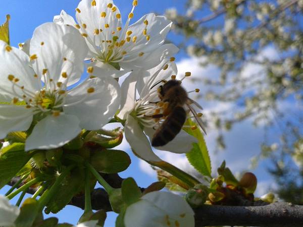 Dolina Górnej Rospudy