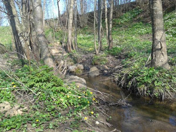 Dolina Górnej Rospudy