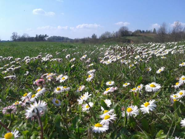 Dolina Górnej Rospudy