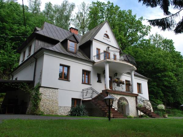 dookoła zieleń lasu