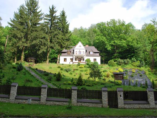 widok willi z ulicy i chodnika