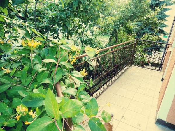 Dom Wypoczynkowy Muszelka