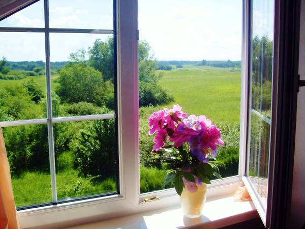 Pokój ( nr5) studio dla 2-4 osób z łózkiem małżeńskim ( lub 2 pojde. na życzenie), kanapą rozkładaną, sat-tv, lodowką, czajnikiem,, elektr., fiiżankami, talerzykami, sztuccami, łazienką ( ręczniki, mydło w płynie); balkon ogólnodostępny ( stól , krzesła) zaraz obok pokoju; widok z okna na Puszczę Piską