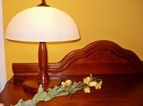 Hotelik Mazurska Chata 