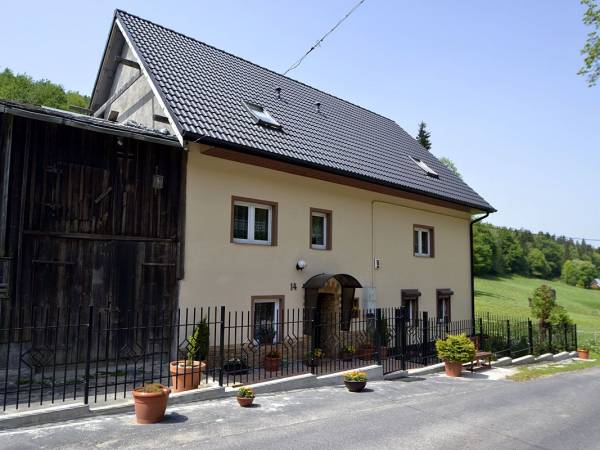 ARNIKA BUDYNEK GŁÓWNY