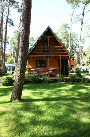 Domki letniskowe Avalon