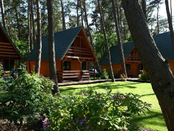 Domki letniskowe Avalon