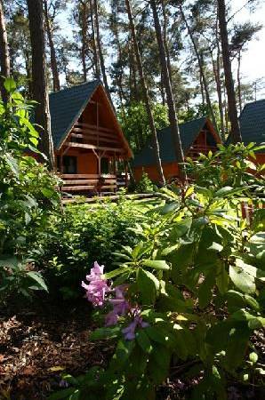 Domki letniskowe Avalon