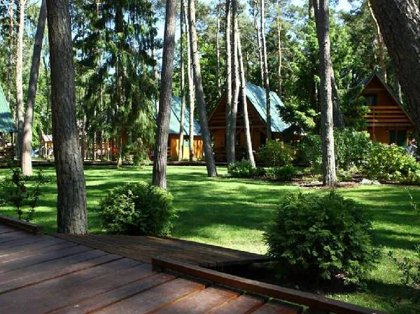 Domki letniskowe Avalon